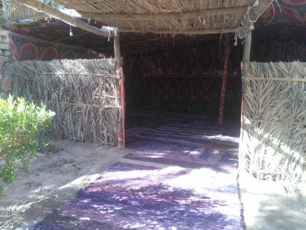 Siwa Paradise Siwa Oasis Екстер'єр фото