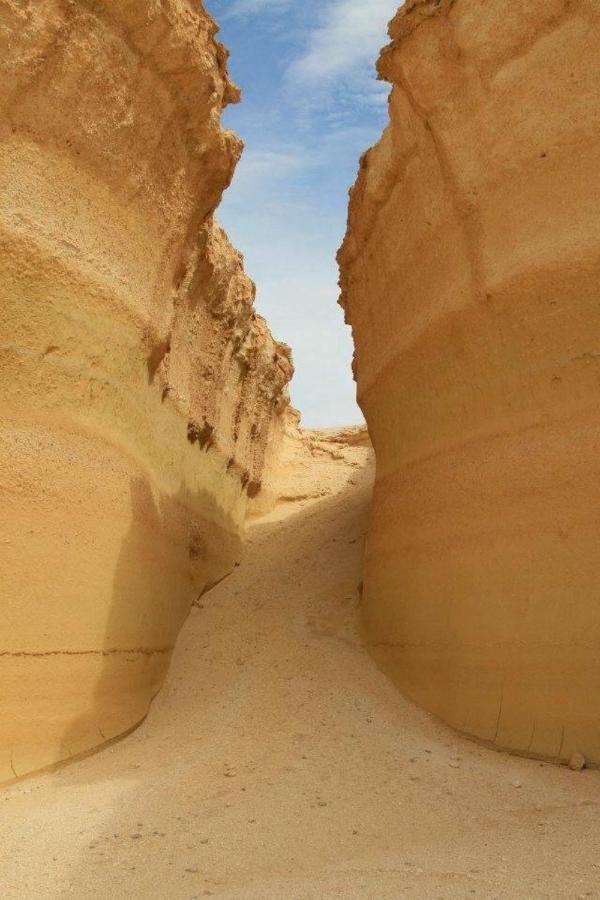 Siwa Paradise Siwa Oasis Екстер'єр фото